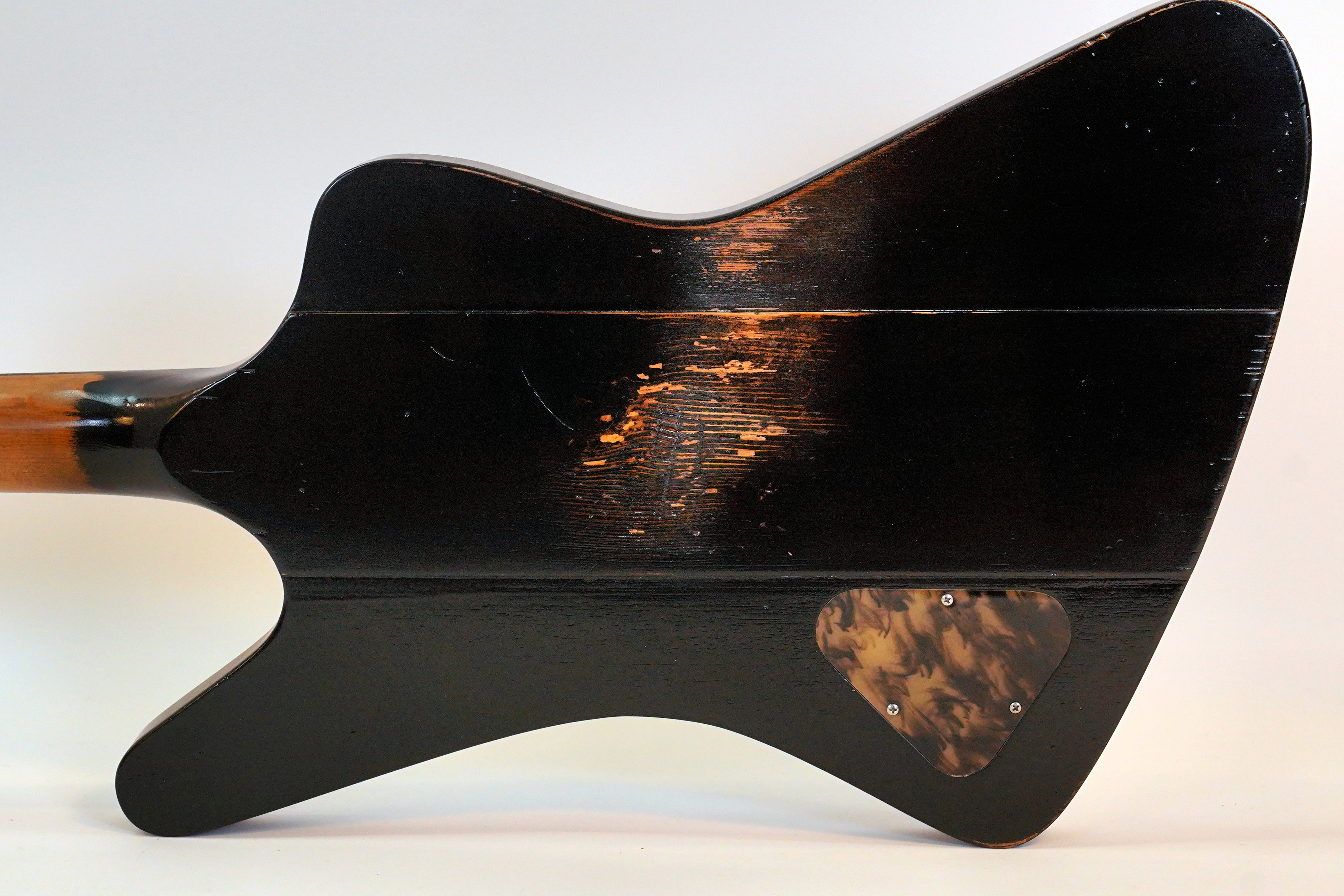 The Raven / Limited Edition