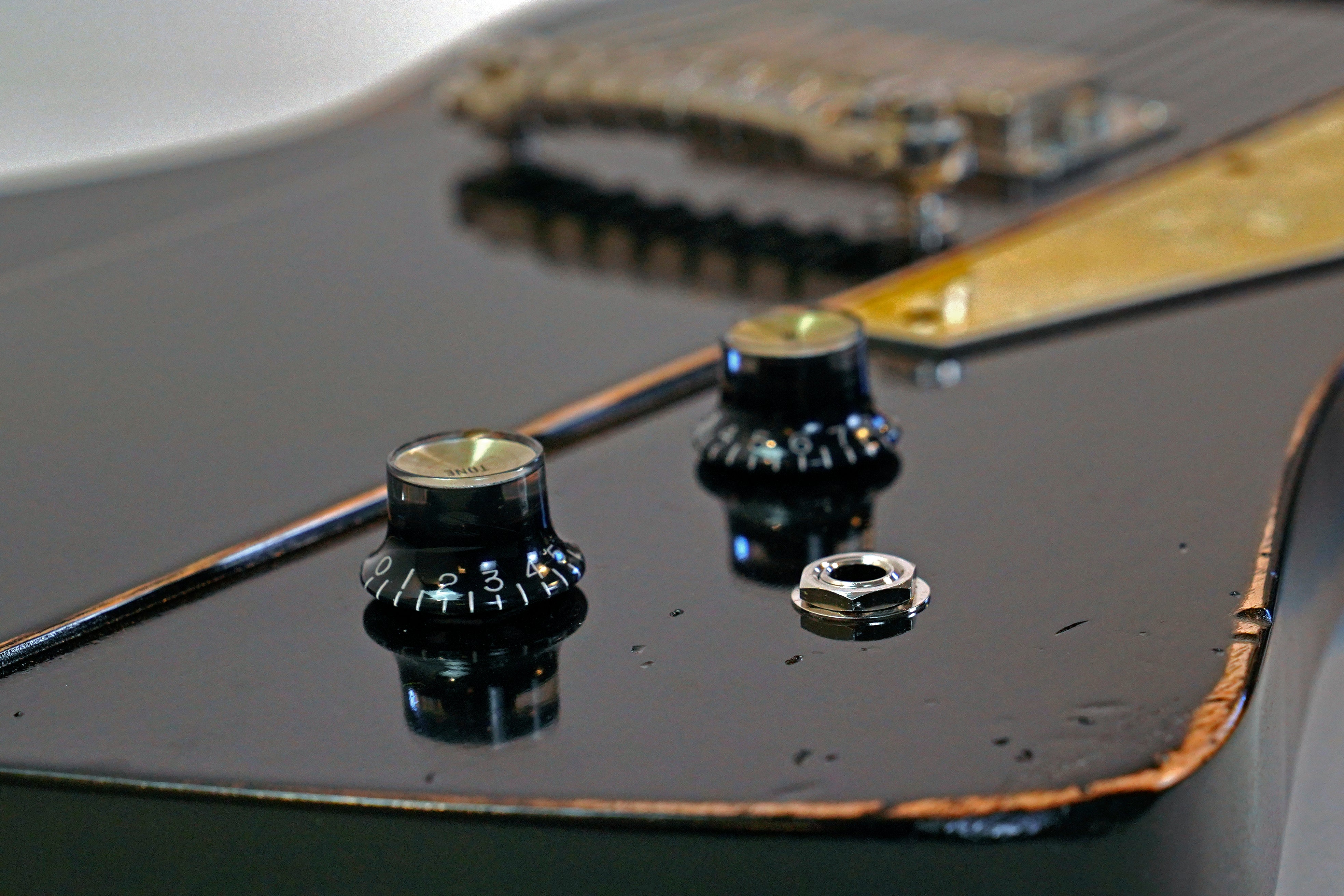 The Raven / Limited Edition