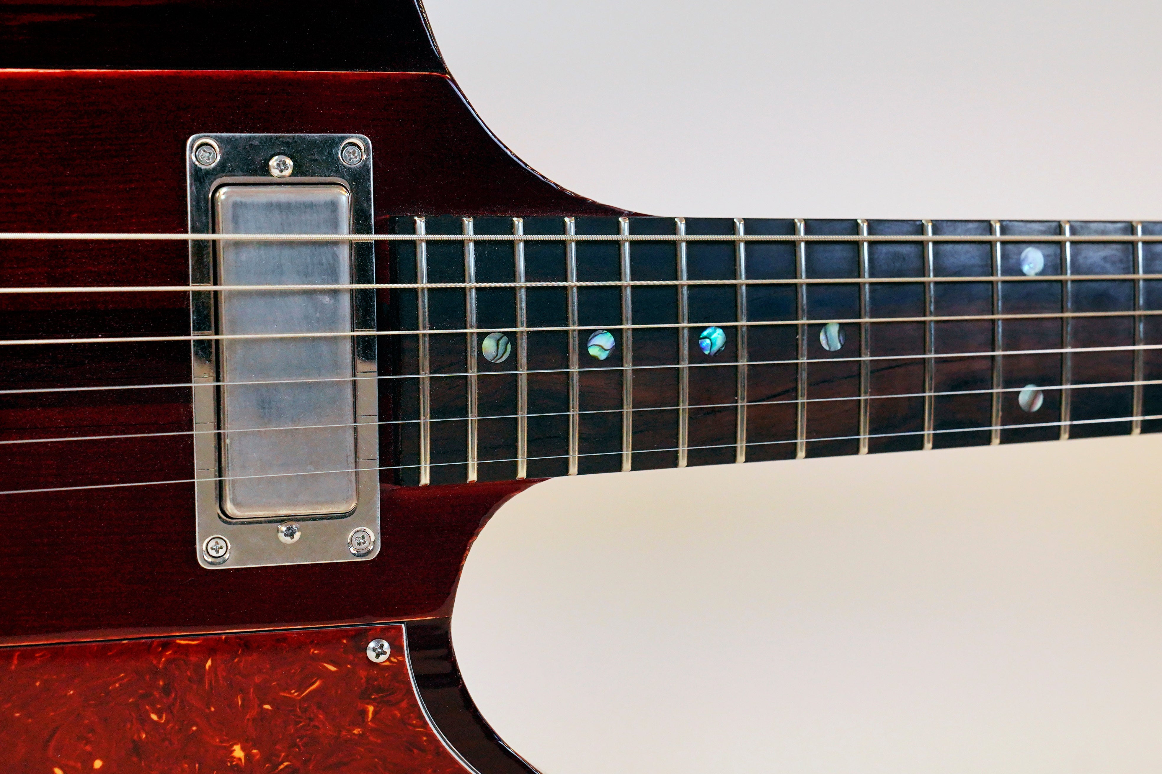 The Raven / Limited Edition