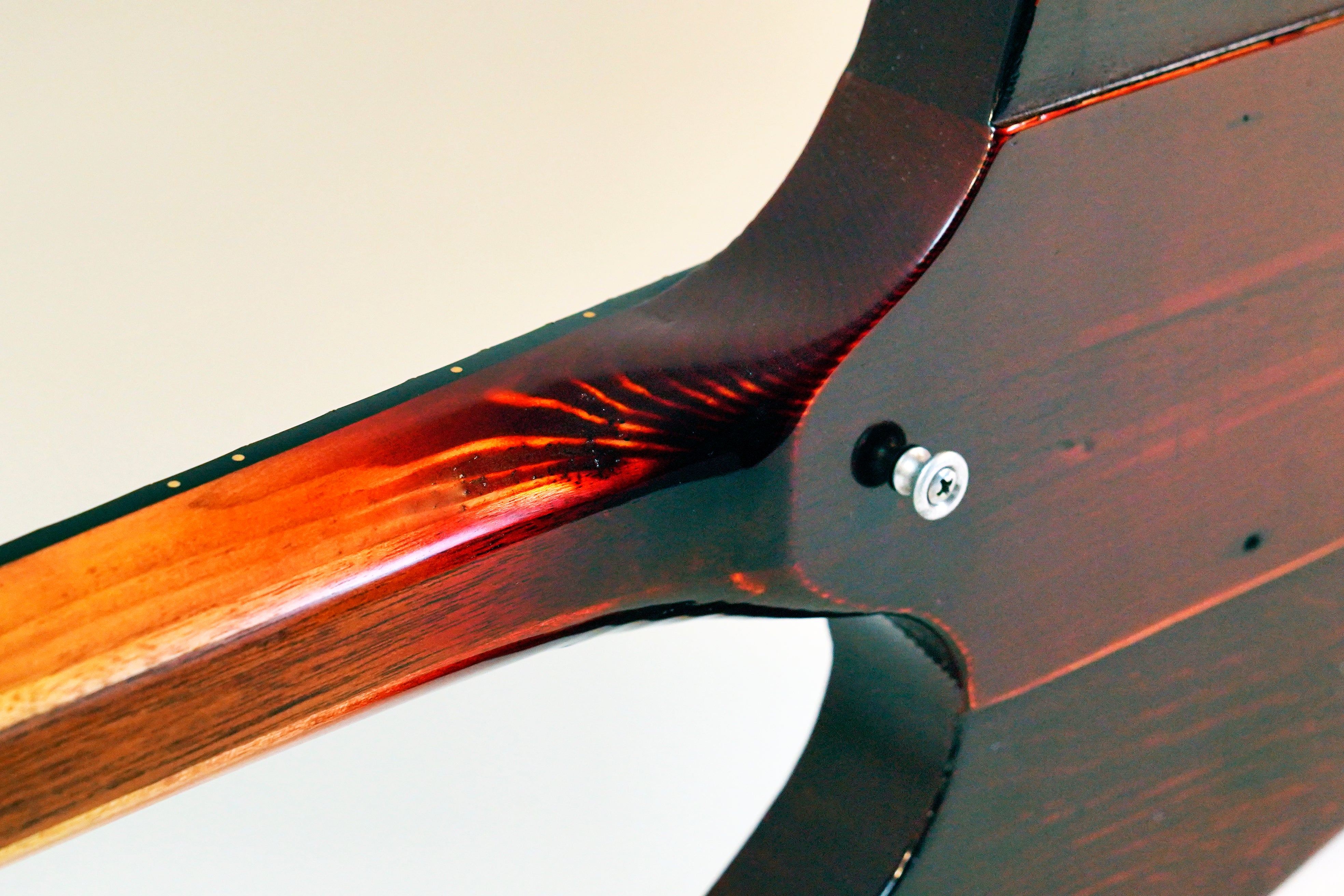 The Raven / Limited Edition