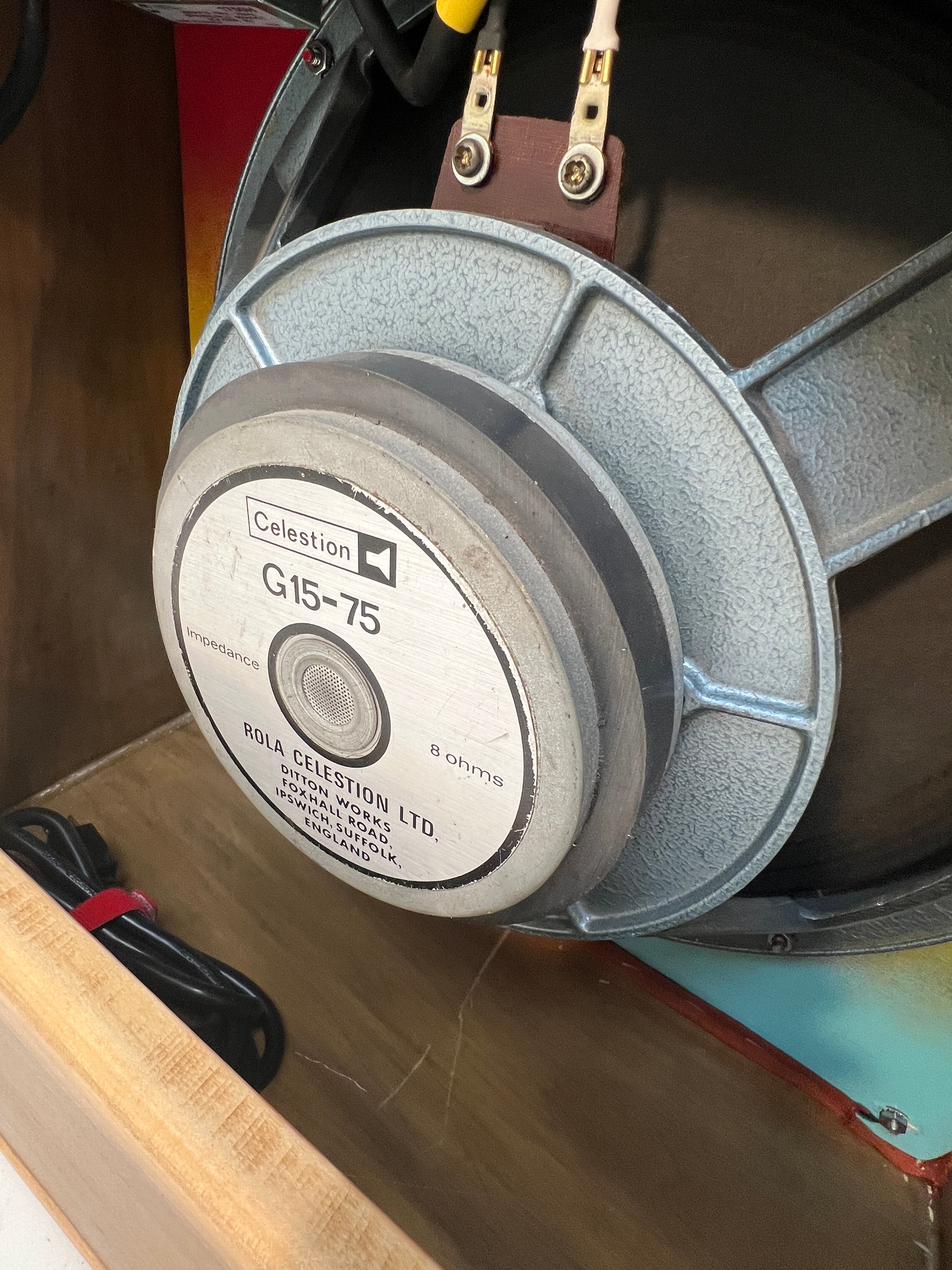 Crazy Horse Amplifier celestion speaker detail