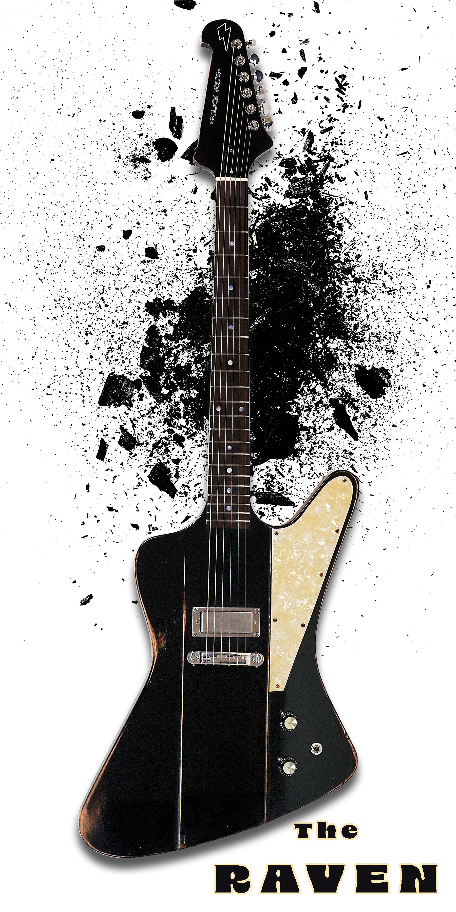 The Raven / Limited Edition