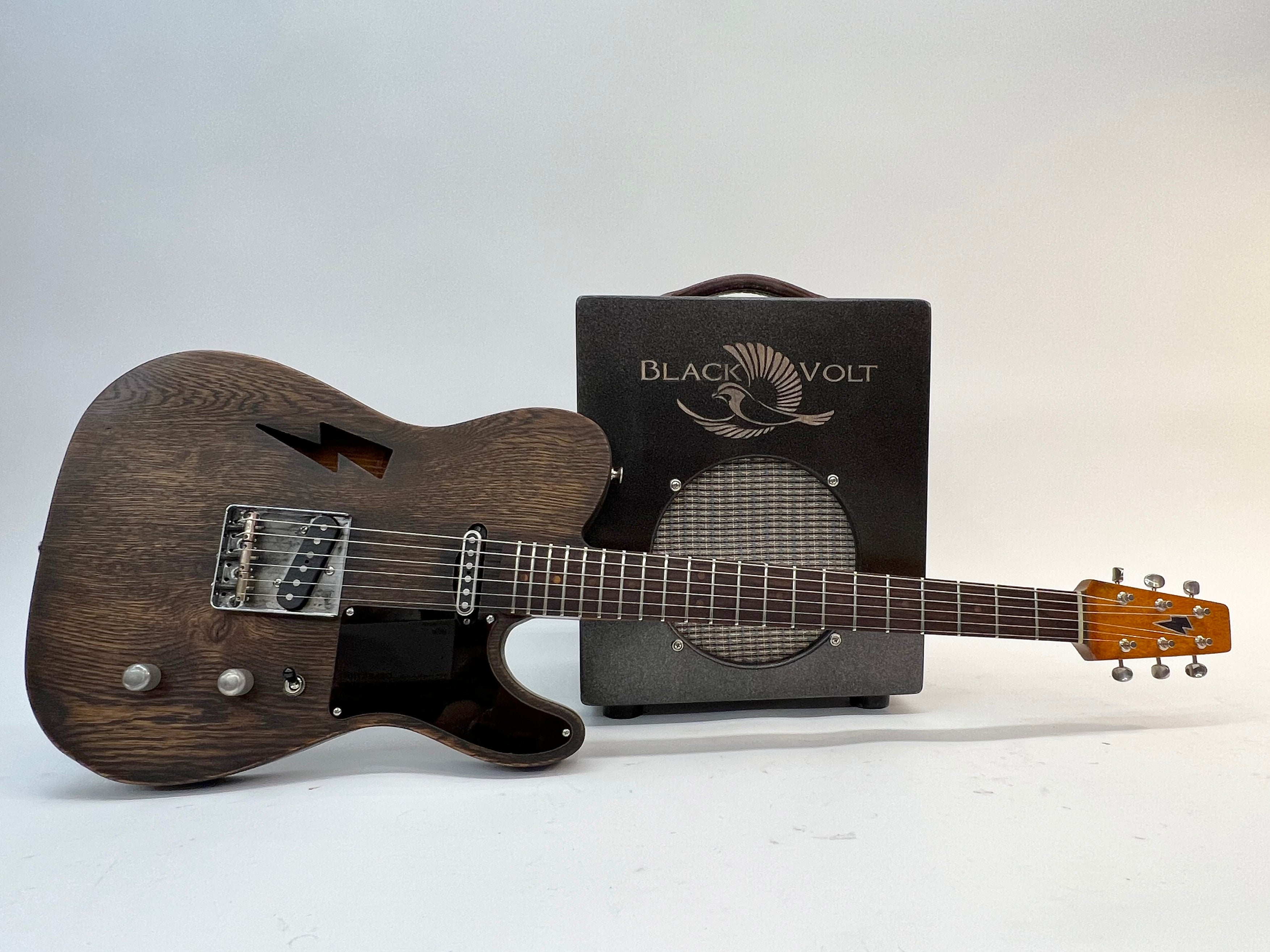 The Sparrow Amplifier with Earthcaster Guitar