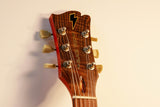 Nefarious Les Paul