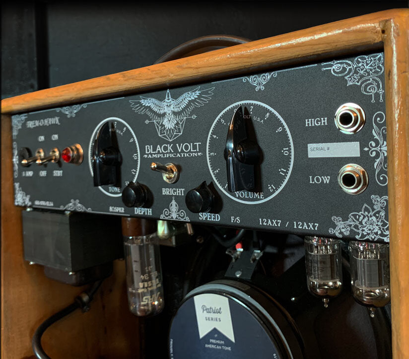 TREM-O-HAWK custom amplifier volume and tone details