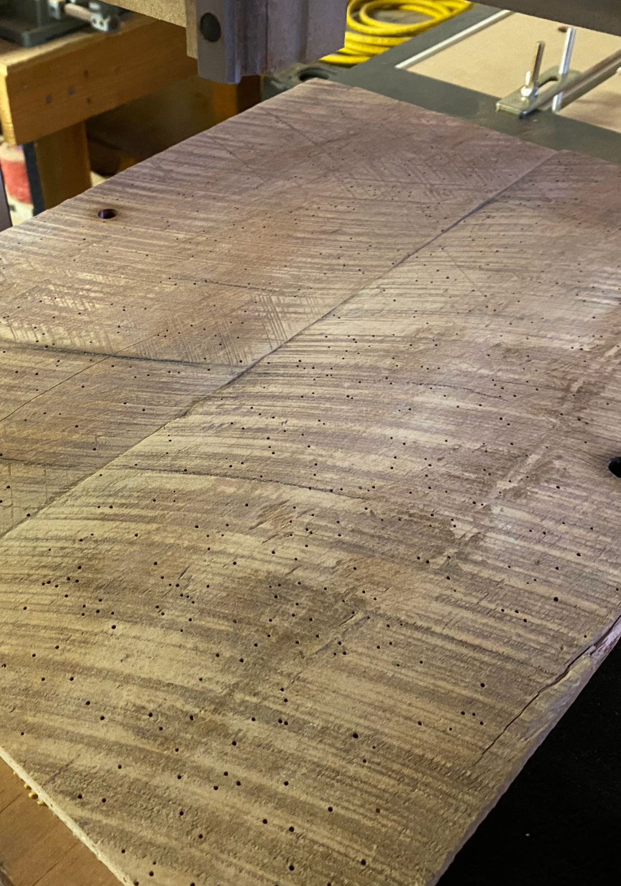 EARTHCASTER PLUS TOP